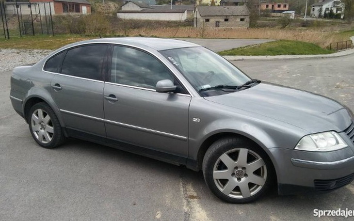 Zbiórka Januszowy Passat - zdjęcie główne