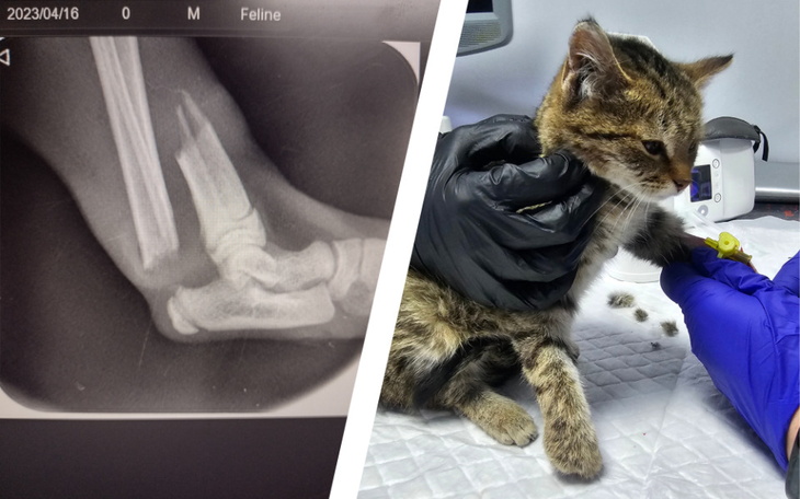 Zbiórka Magic - zdjęcie główne