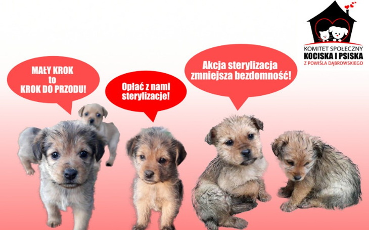 Zbiórka Sterylizacje Powiśle Dąbrowskie - zdjęcie główne