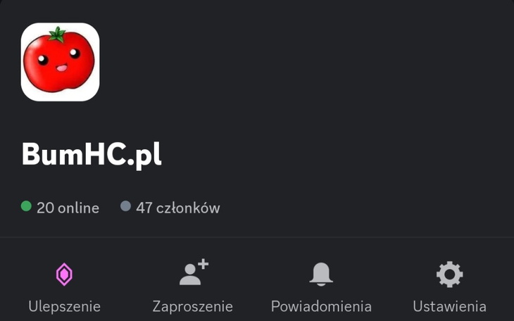 Zbiórka Zbieramy pieniądze na serwer.. - zdjęcie główne