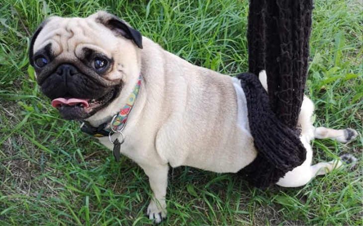 Zbiórka Zbiórka na operację kręgosłupa - zdjęcie główne