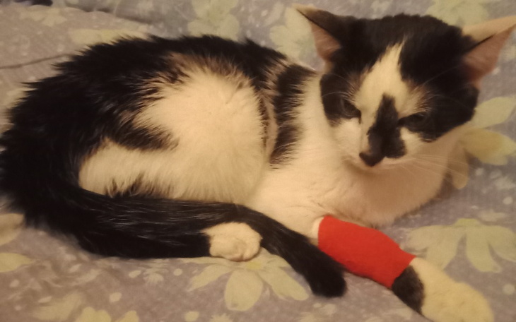 Zbiórka Zbiórka na badanie rezonansem - zdjęcie główne