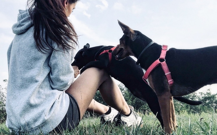 Zbiórka Moje marzenie - kat. CE - zdjęcie główne