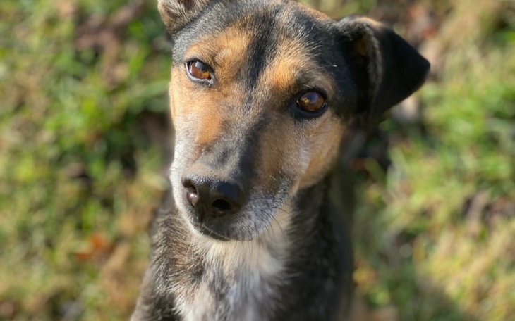 Zbiórka Ocieplana buda i wyprawka - zdjęcie główne