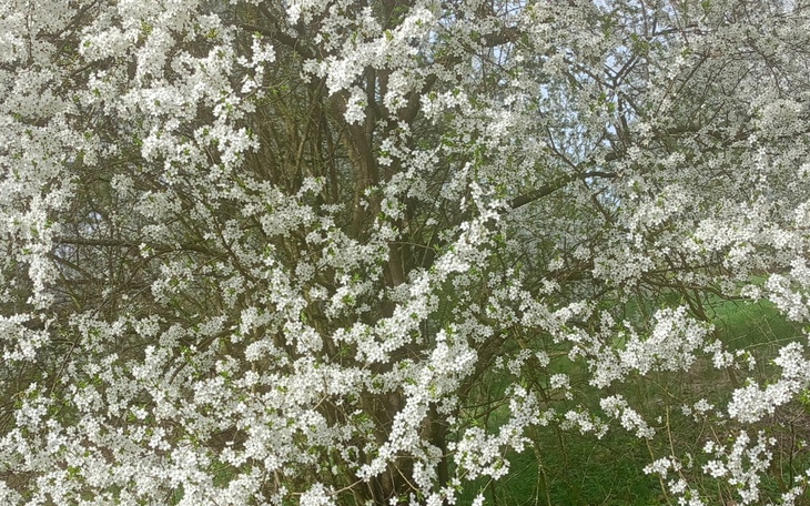 Zbiórka Pomóż mi odbić się od dna. - zdjęcie główne