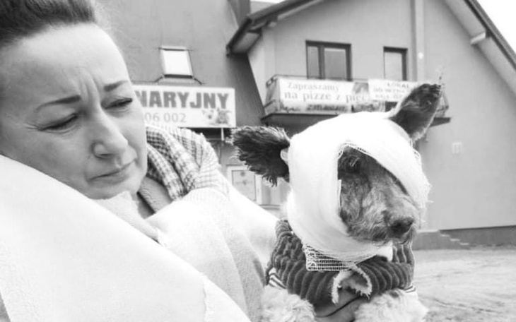 Zbiórka Żegnaj, Agnieszko... - zdjęcie główne