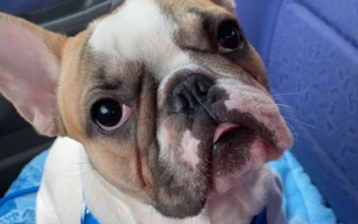 Zbiórka Operacja kręgosłupa Maxa - zdjęcie główne