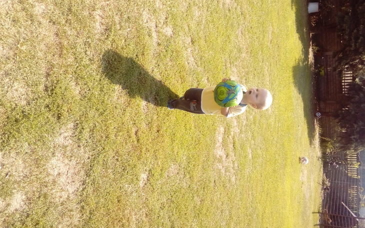 Zbiórka Zakończenie in vitro - zdjęcie główne