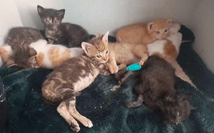 Zbiórka To chyba koniec... - zdjęcie główne