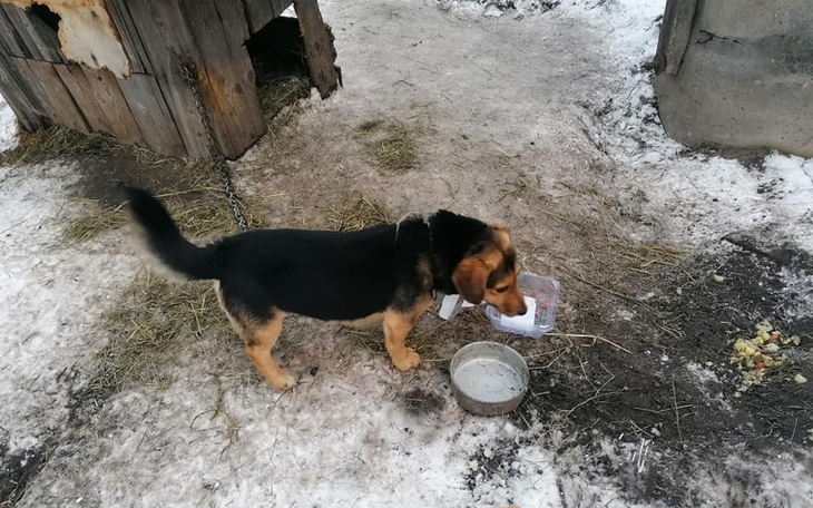 Zbiórka UWOLNIONY z łańcucha - zdjęcie główne