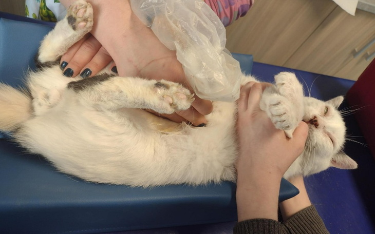 Zbiórka Kubuś kontynuacja leczenia - zdjęcie główne