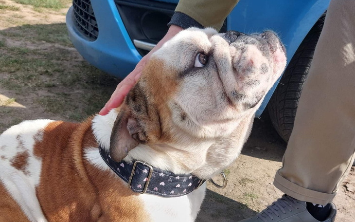 Zbiórka AN- Bodzio - zdjęcie główne