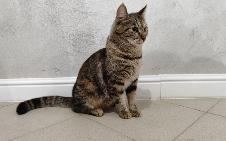 Zbiórka Ruki vs zapalenie otrzewnej - zdjęcie główne