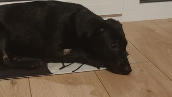 Zbiórka Żyję w bólu. Pomóż mi. - miniaturka zdjęcia