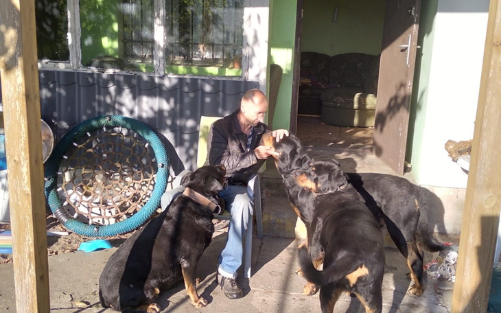 Mężczyzna w towarzystwie czterech psów na tarasie.