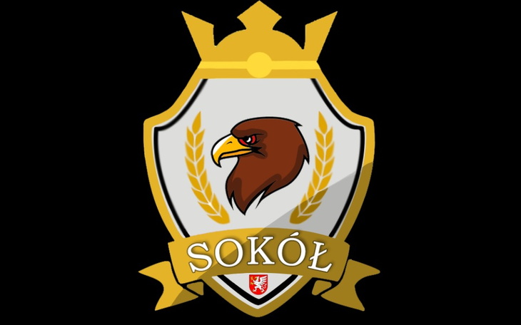 Zbiórka Wsparcie Dla Sokoła - zdjęcie główne