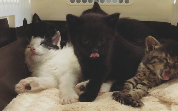 Zbiórka Na start w nowe lepsze życie - zdjęcie główne