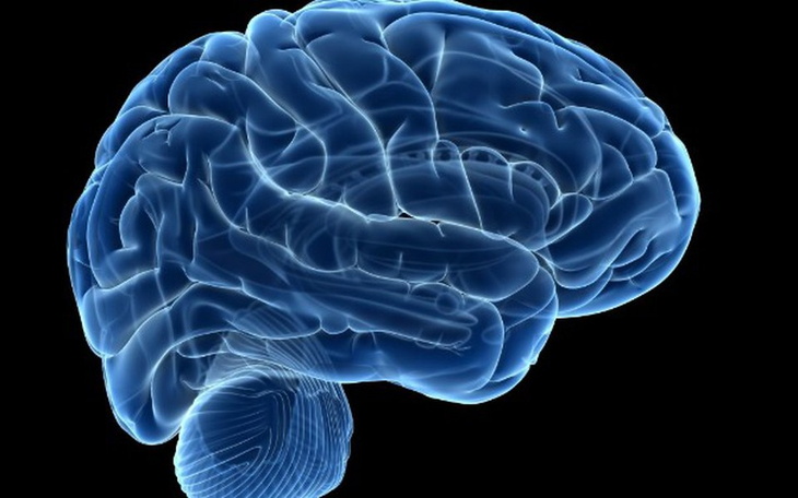 Zbiórka Na muzg - zdjęcie główne