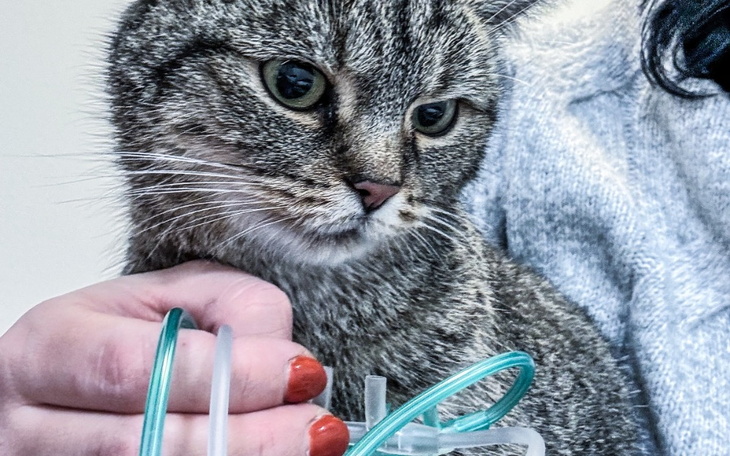 Zbiórka ŚRODA sie DUSI - zdjęcie główne