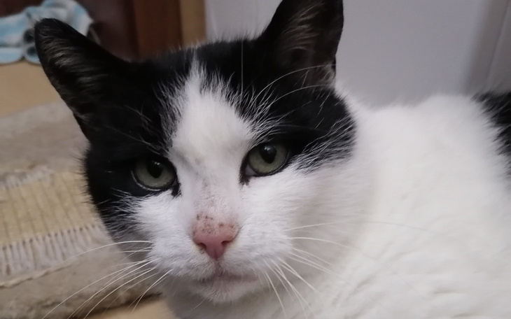 Zbiórka Nowe życie Beni - zdjęcie główne