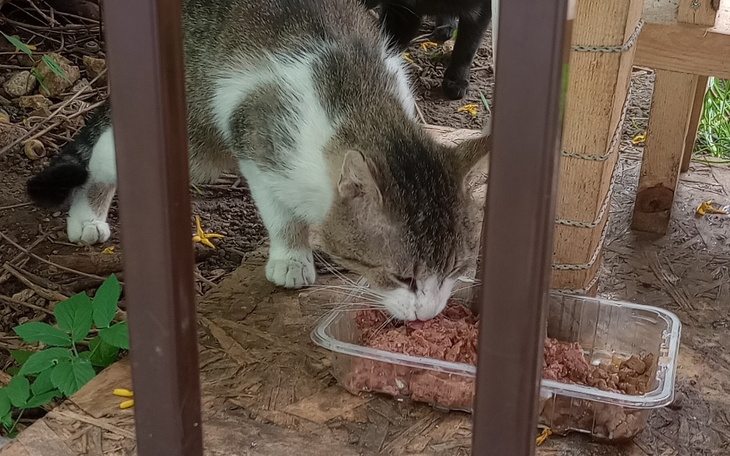 Ciemne tło z delikatnym efektem świetlnym.