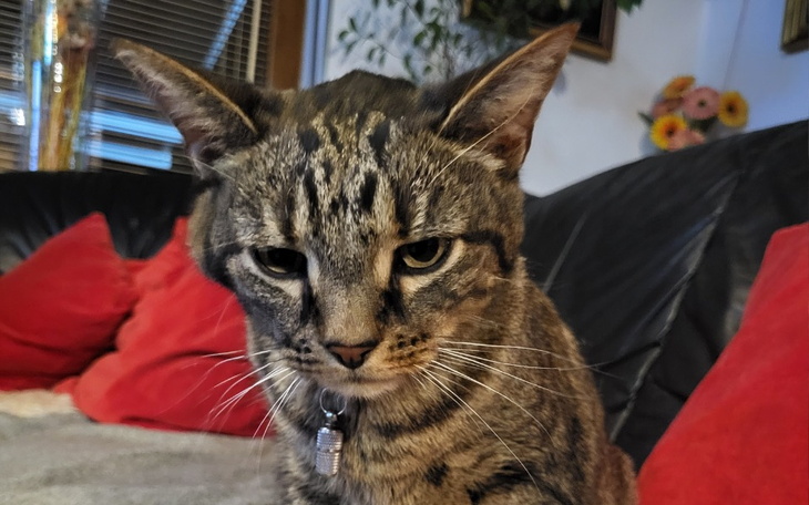 Zbiórka Bez was umrę... Błagam o pomoc - zdjęcie główne