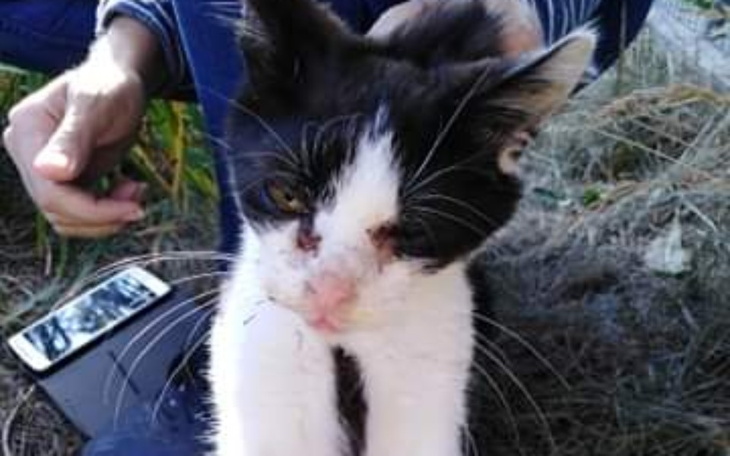 Zbiórka Działkowe dzieci - zdjęcie główne