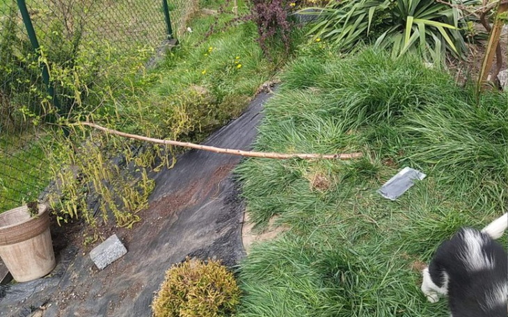 Zbiórka Na nowo Brzozka do Jurgusia - zdjęcie główne