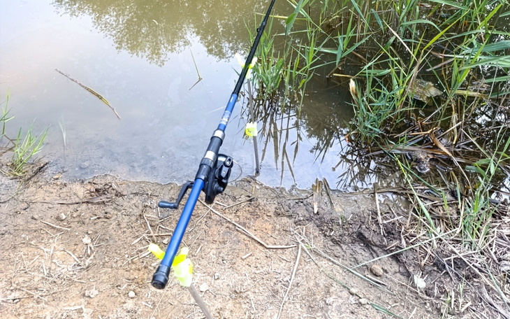 Wędka leżąca na brzegu stawu, otoczona roślinnością.