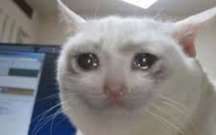 Zbiórka Dobry człowieku pomóż mi proszę - zdjęcie główne