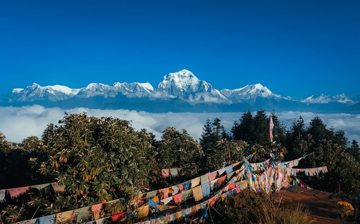 Widok na ośnieżone góry z modrym niebem i kolorowymi flagami modlitewnymi.