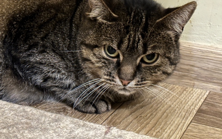 Zbiórka Na przetrwanie października 2024 - zdjęcie główne