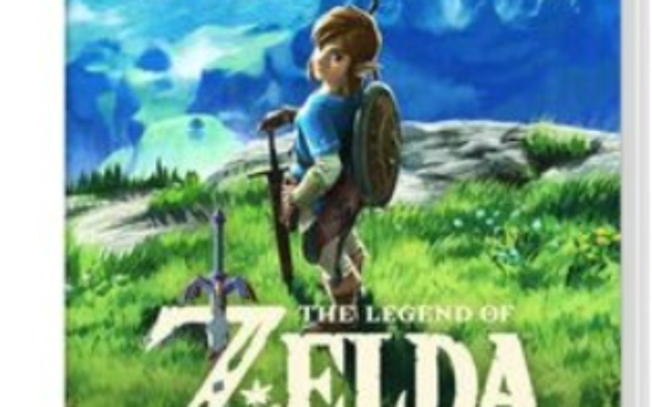 Zbiórka pomóżcie uzbierać na zelde - zdjęcie główne