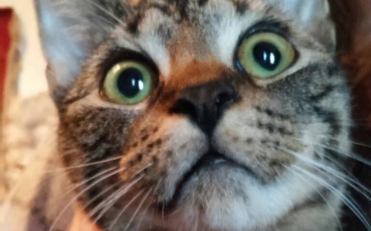 Zbiórka Na nowe życie z kimś i leki - zdjęcie główne