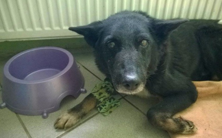 Zbiórka Olek - staruszek po wypadku - zdjęcie główne