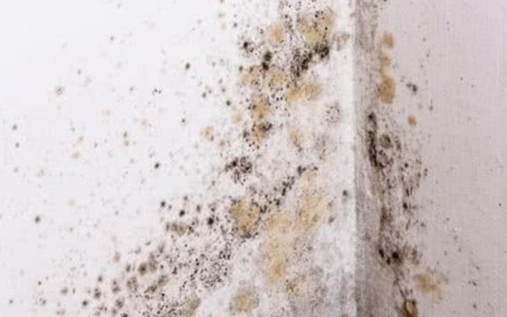 Zbiórka Na pomoc rodziniee - zdjęcie główne