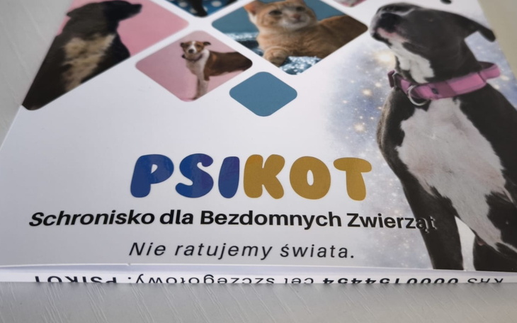 Plakat schroniska dla zwierząt z różnymi zwierzętami.