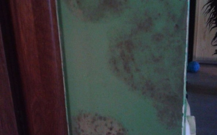 Zbiórka POMOCY! Leje się i pleśnieje! - zdjęcie główne