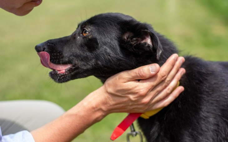 Zbiórka Winylowi na pomoc!!! - zdjęcie główne
