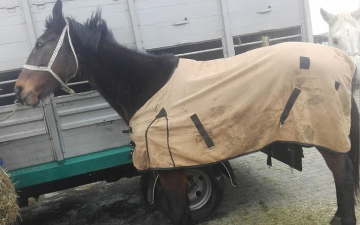 Zbiórka Wenecja ze Skaryszewa! - zdjęcie główne