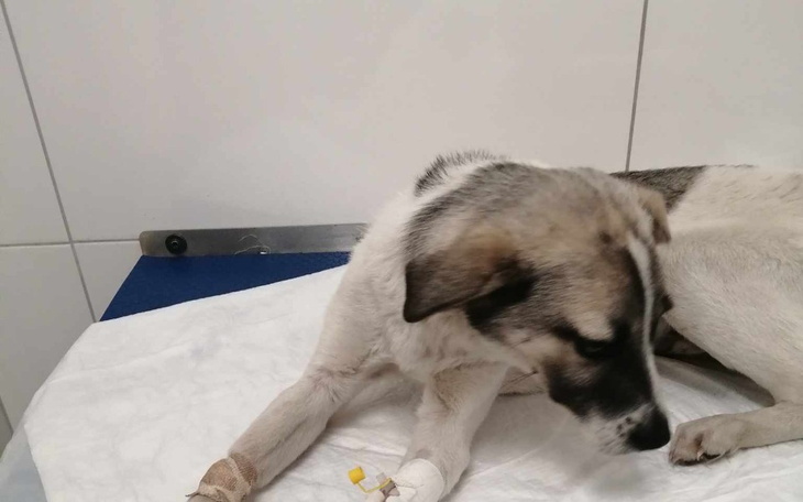 Zbiórka Życie na kreskę - zdjęcie główne