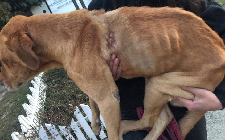 Zbiórka Ratujmy kręgosłup FERO - zdjęcie główne