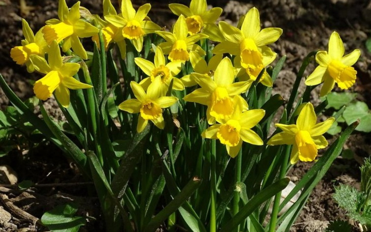 Zbiórka Pilna pomoc materialna - zdjęcie główne