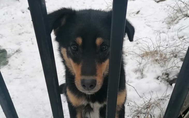 Zbiórka Sam po śmierci pana - zdjęcie główne