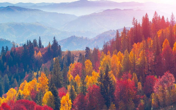 Zbiórka Zbiórka na prezenty dla domu dzi - zdjęcie główne