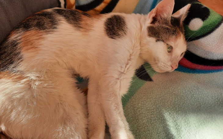 Zbiórka Na leczenie mojej hery - zdjęcie główne