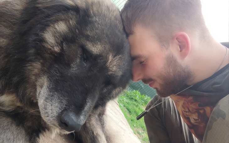 Zbiórka Bezpieczna przystań dla Zwierząt - zdjęcie główne