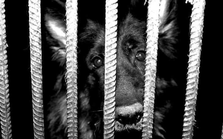 Zbiórka Gdy nie ma już, jak pomóc - zdjęcie główne