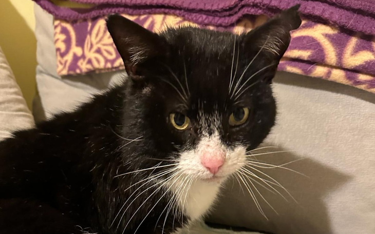 Zbiórka Pomoc dla Mruczysława - zdjęcie główne