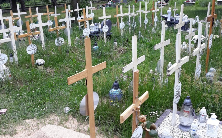 Zbiórka Dla Aniołków - zdjęcie główne